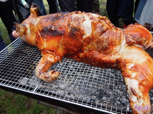 珍肉バーベキュー