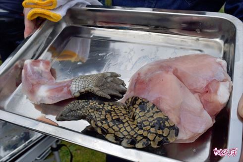 珍肉バーベキュー