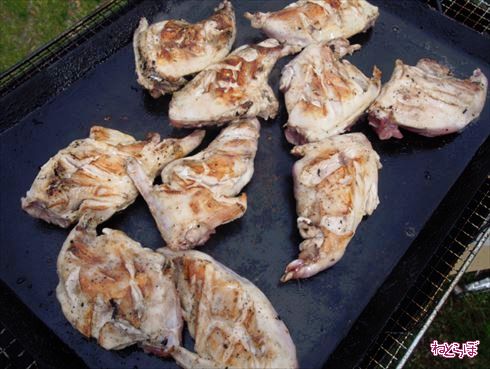 珍肉バーベキュー