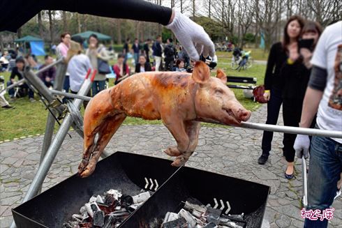 珍肉バーベキュー