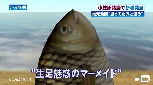 T.M.R「2020」発売告知CM