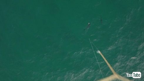 ドローンフィッシング