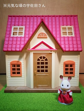 悪バニアハウス