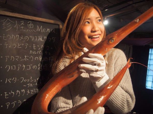 珍怪魚を食べてみよう