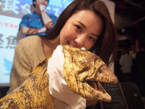 珍怪魚を食べてみよう