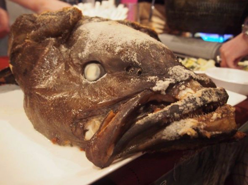 珍怪魚を食べてみよう