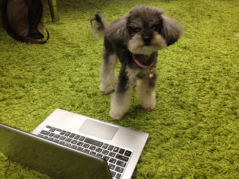 ねとらぼ生物部編集長