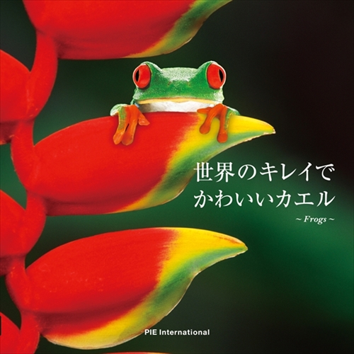 世界のキレイでかわいいカエル