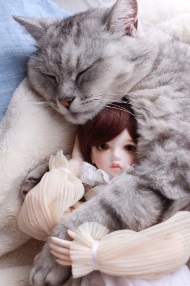 猫ドール2