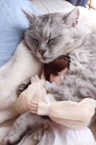 猫ドール3