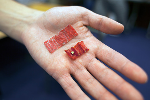 Ingestible origami robot