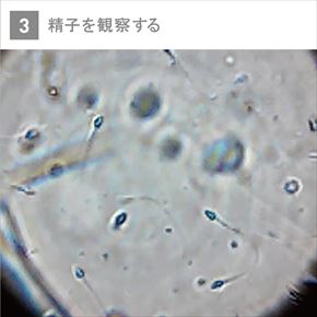 TENGAからスマホで使える精子観察キット