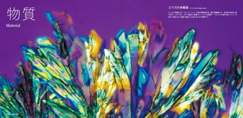 美しい顕微鏡写真が発売