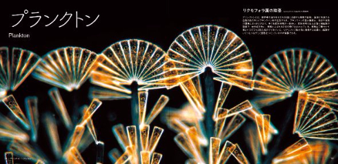 寺門和夫さんが解説