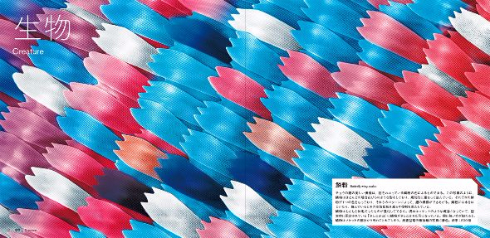 美しい顕微鏡写真が発売