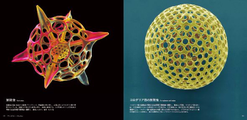 美しい顕微鏡写真が発売