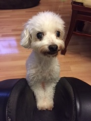 ねとらぼ生物部編集長