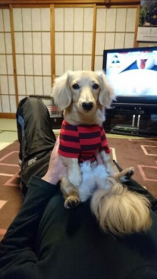 ねとらぼ生物部編集長