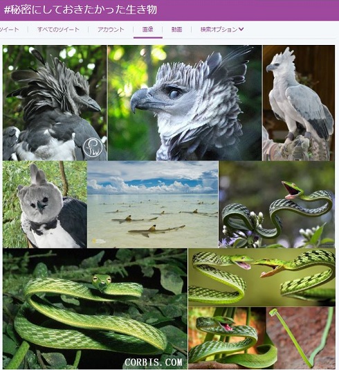 秘密にしておきたかった生き物
