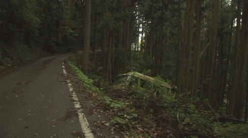 ゆきゆきて 酷道439