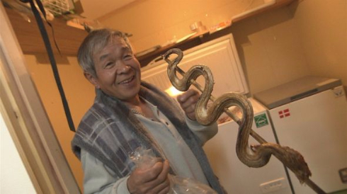 ゆきゆきて 酷道439