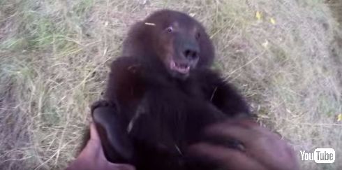 アメリカの自然活動家が子熊と仲良く