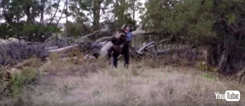 子熊とキャッキャウフフする動画