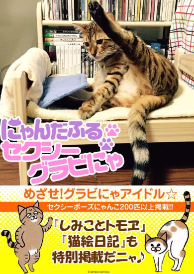 にゃんだふるセクシーグラビにゃ