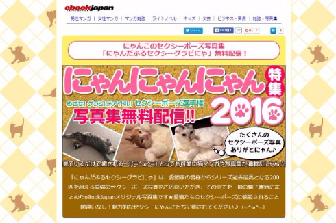 にゃんだふるセクシーグラビにゃ