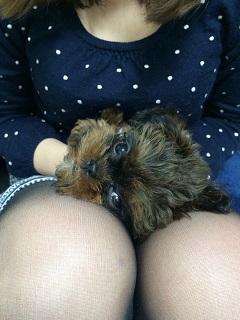 ねとらぼ生物部編集長