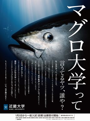 近畿大学国際学部