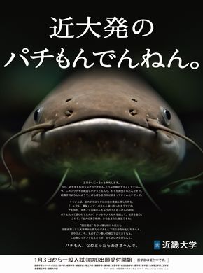 近畿大学国際学部