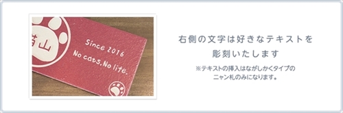 ねこずかんニャン札