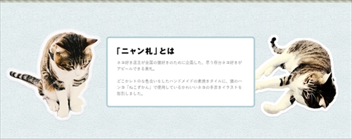 ねこずかんニャン札