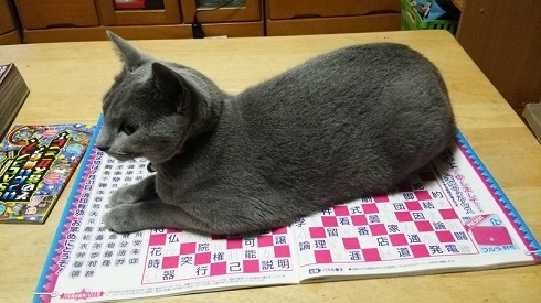 ねとらぼ生物部編集長