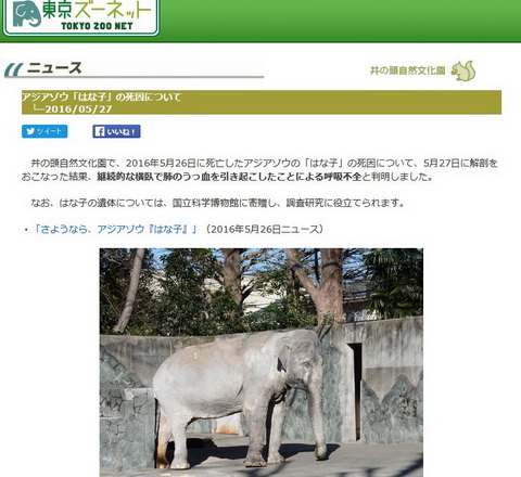 はな子の死因判明