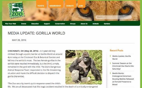 男の子がゴリラの柵に転落