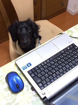 ねとらぼ生物部編集長