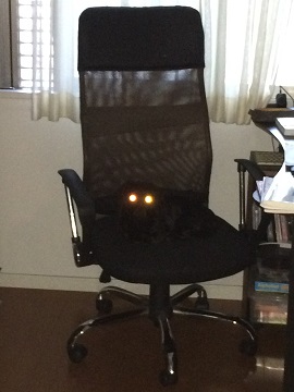 ねとらぼ生物部編集長