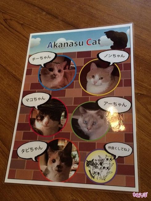 猫居酒屋赤茄子