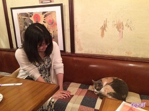 猫居酒屋赤茄子
