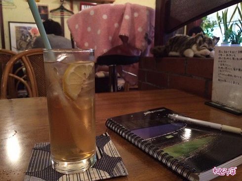 猫居酒屋赤茄子