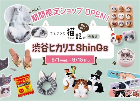 にゃんにゃんポチ袋セット