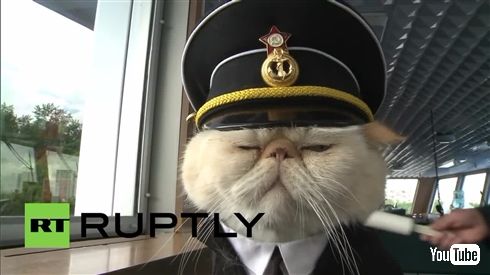 ロシア豪華客船の船長猫