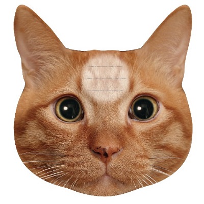 猫のひたいふせんメモ