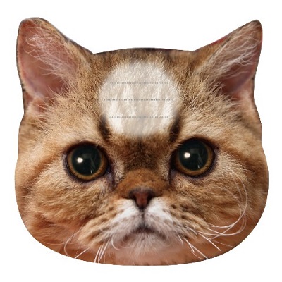 猫のひたいふせんメモ