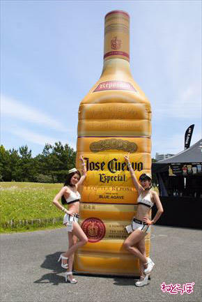 レッドブル・エアレース