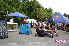 レッドブル・エアレース