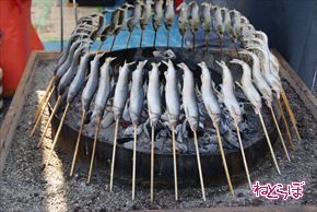 レッドブル・エアレース