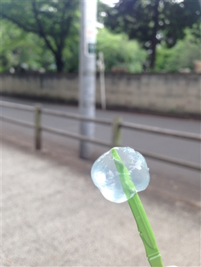駄菓子おいしい「ラムネわらび餅」